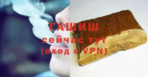 индика Покачи