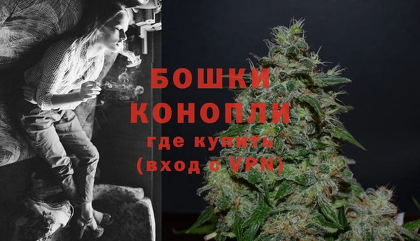 ешки Билибино