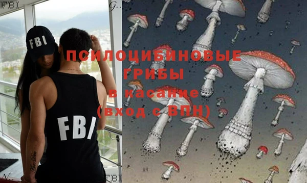 ешки Билибино