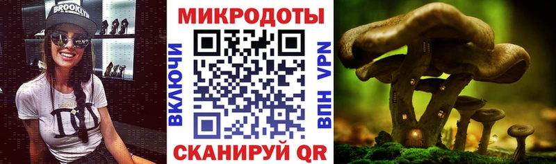 Псилоцибиновые грибы Magic Shrooms Княгинино