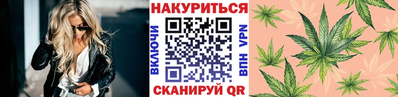 закладка  Княгинино  mega маркетплейс  Марихуана семена 